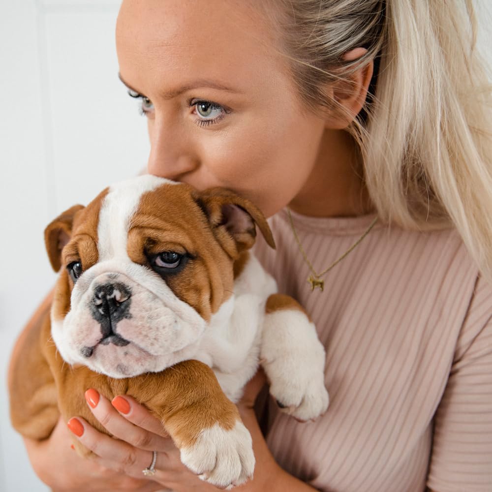 3D French Bulldog Necklace – MUSTHAVE 18K Gold Plated Minimal Bulldog Pendant, Dainty Animal Jewelry for Women, Pet Lover Gift, 16+2", 3D Dog Pendant Necklace, Message Card, Dogmom, Dogperson (Yellow Gold) - Image 5