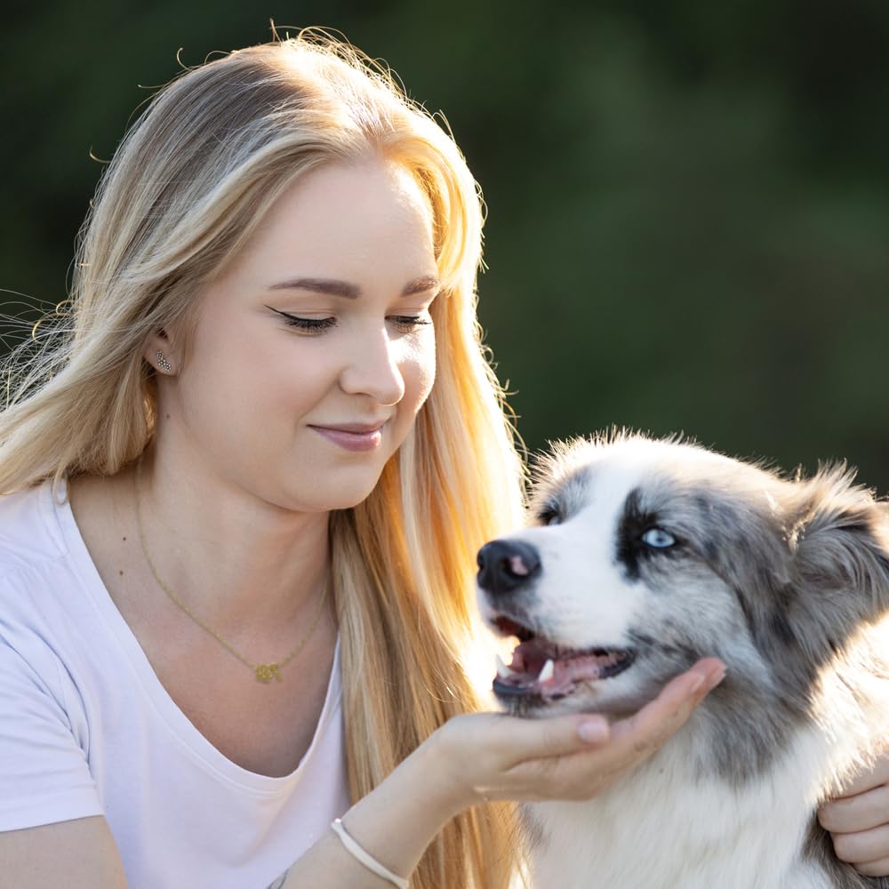 Paw and Bone Necklace – MUSTHAVE 18K Gold Plated Pet Lover Jewelry, Dog Mom Gift, Cute Charm Pendant, Dainty Necklace for Women, Minimalist Dog Jewelry, Message Card, Dogmom, Dogperson, 16+2 inch Extender (White Gold) - Image 5