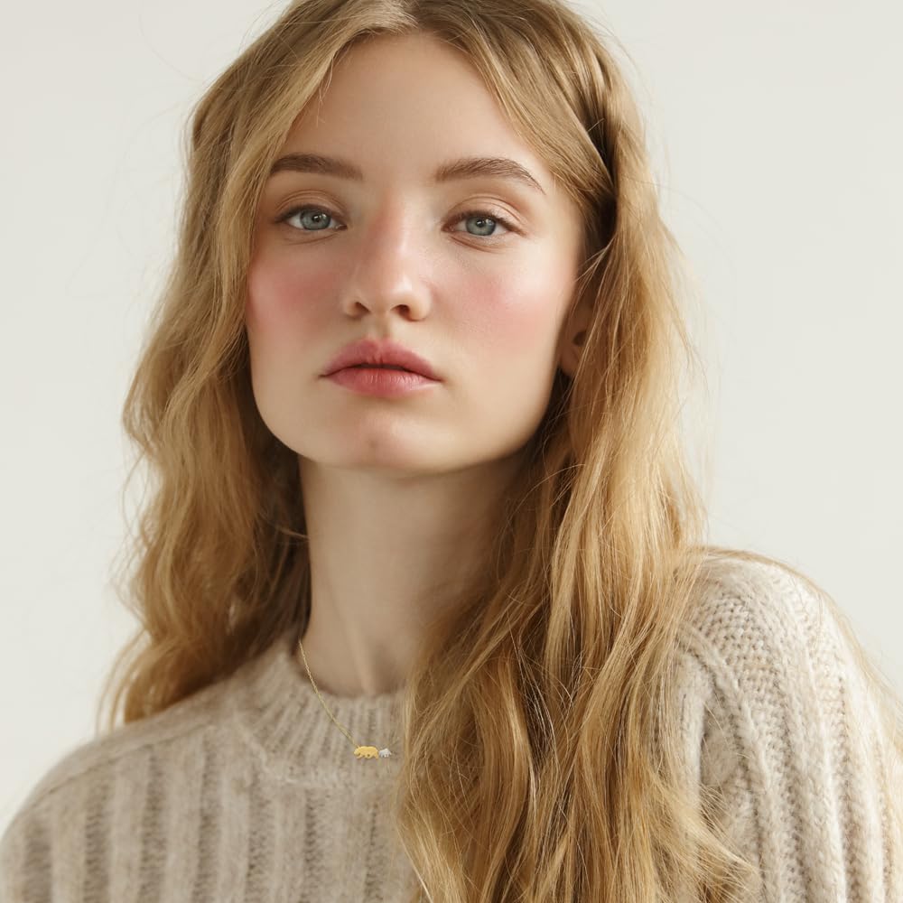 MUSTHAVE Mama Bear 18K Gold Plated Necklace With Message Card, Two Tone Yellow and White Color, Anchor Chain, Best Gift Necklace, Size 16 inch + 2 inch Extender, Gift Card - Image 8